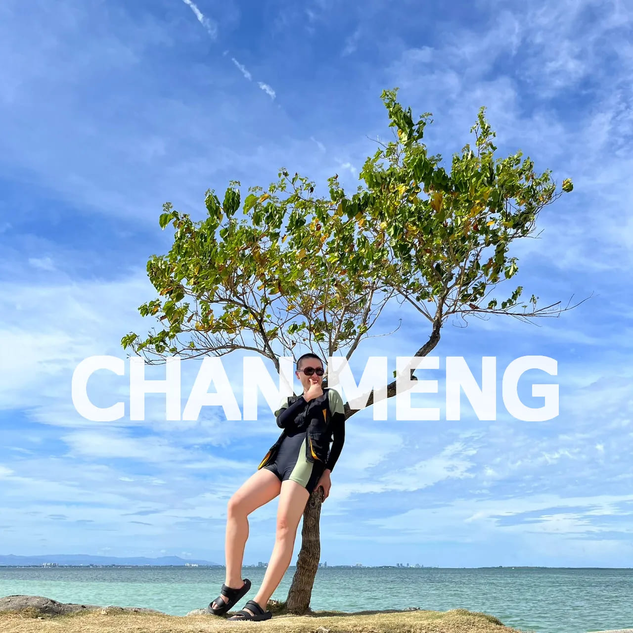 Chan Meng